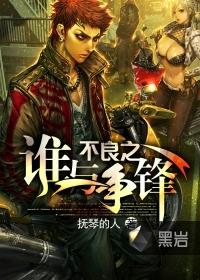 谁与争锋封面
