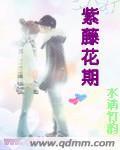 紫藤花期封面