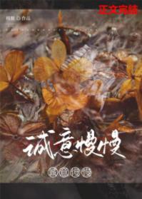 诚意慢慢封面