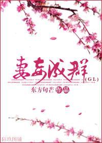 妻妾成群封面