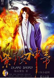 紫琅神帝封面
