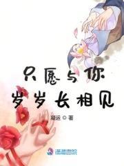 只愿与你岁岁长相见封面