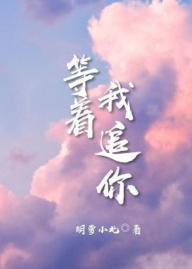 等着,我追你封面