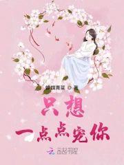 只想一点点宠你封面