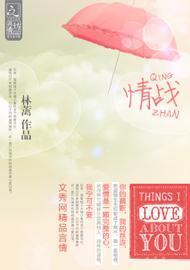 情战封面