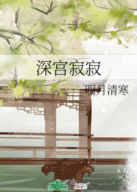 深宫寂寂封面