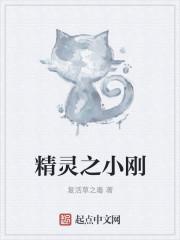 精灵之小刚封面