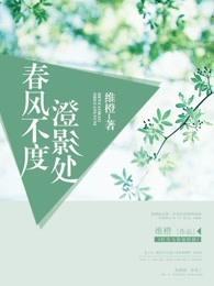 春风不度澄影处封面