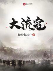 大流寇封面
