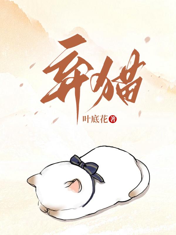 弃猫封面