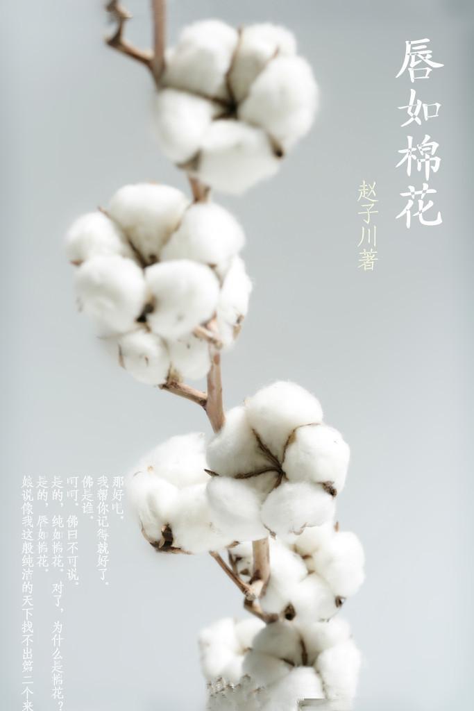 唇如棉花封面