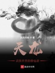 天龙八部之大宋问天宗封面