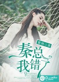 秦总,我错了封面