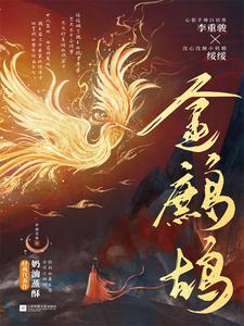 金鹧鸪封面