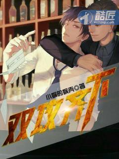 双攻齐下封面