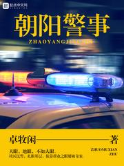 我真不是神探封面