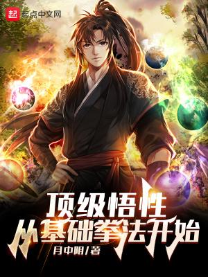 顶级悟性:从基础拳法开始封面