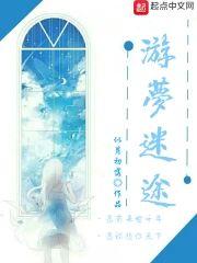 游梦迷途封面