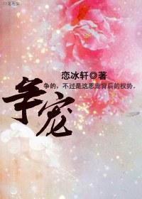 争宠封面