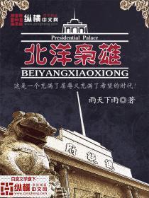 北洋枭雄封面