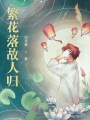 繁花落故人归封面