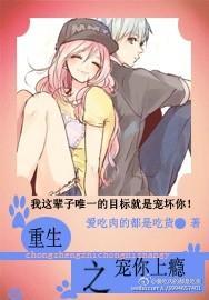 重生之宠你上瘾封面