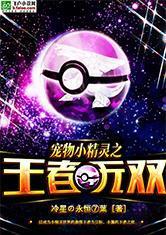 宠物小精灵之王者无双封面
