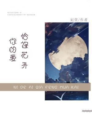 你的爱恰逢花开封面