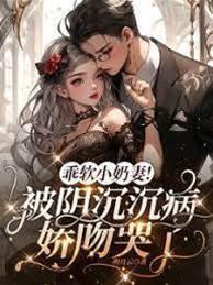 乖软小奶妻!被阴沈沈病娇吻哭了封面