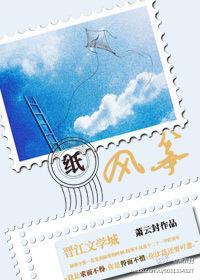 纸风筝封面