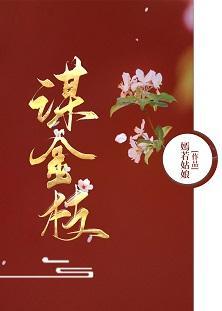 谋金枝封面