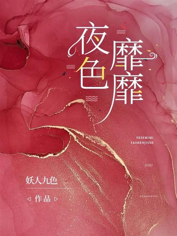 夜色靡靡封面