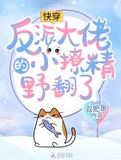 快穿：反派大佬的小撩精野翻了封面