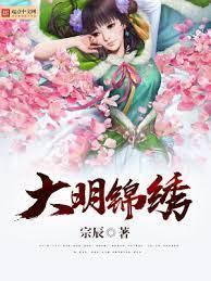 大明锦绣封面