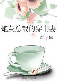 炮灰总裁的穿书妻封面