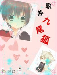 家养九尾狐封面