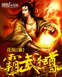 霸武独尊封面