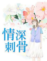 偏心哥哥封面