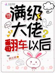 当满级大佬翻车以后封面