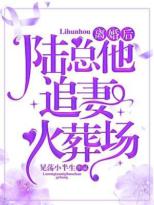 离婚后，陆总他追妻火葬场封面