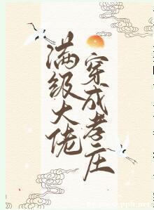 满级大佬穿成孝庄(清穿)封面