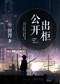 公开出柜封面
