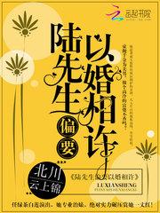 陆先生偏要以婚相许封面