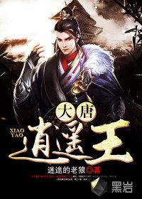大唐逍遥王封面