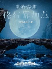我的武道修行靠加点封面