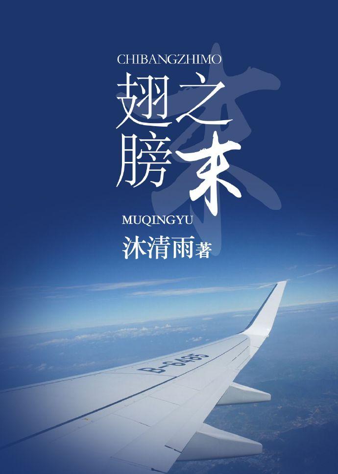 翅膀之末封面