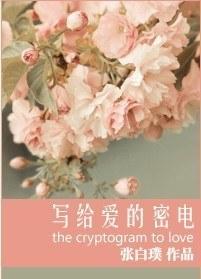 写给爱的密电（军旅）封面