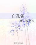 白孔雀封面