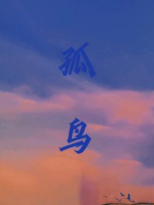 孤鸟封面
