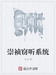 崇祯窃听系统封面